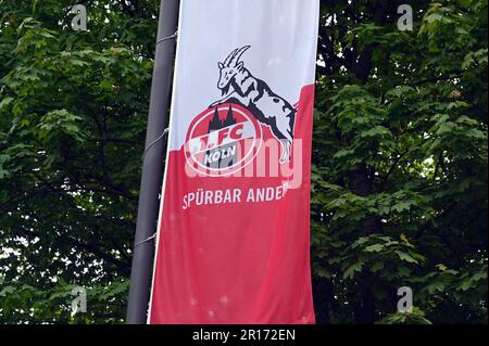 Köln, Deutschland. 11. Mai 2023. Rot-weiße Flagge mit Logo und Schriftzug des Kölner Fußballvereins 1. FC Köln. Kredit: Horst Galuschka/dpa/Horst Galuschka dpa/Alamy Live News Stockfoto