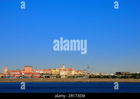 Tokio Himmelsbaum und TDL Stockfoto