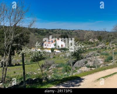 Portugiesisches Landhaus in der Sonne Stockfoto