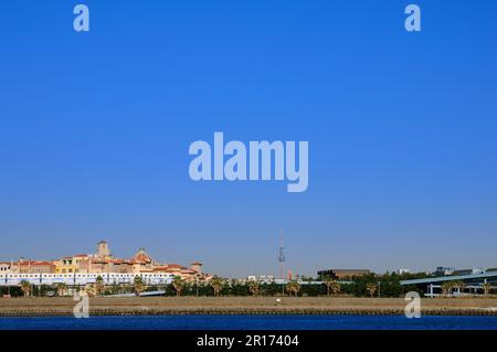 Tokio Himmelsbaum und TDL Stockfoto