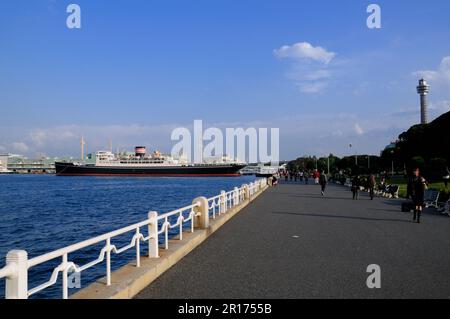 Yamashita Park und Yokohama Marine Tower Stockfoto