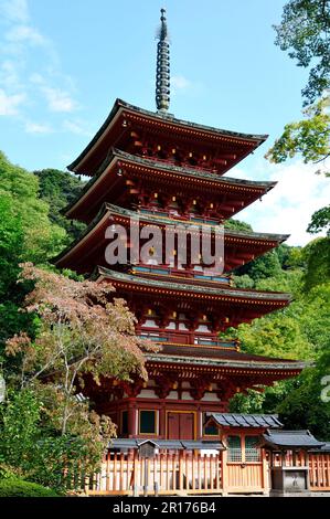 Fünfstöckige Pagode des Grand Head Temple Hase im Herbst, Nara Stockfoto