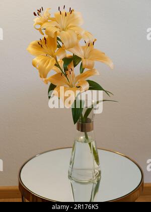 Blühende Lilie in einer kleinen Vase Stockfoto