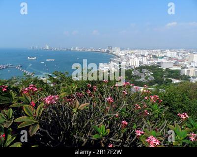 Thailand, Chonburi, Pattaya: Bucht von Pattaya vom Buddha Hill Lookout, mit Plumeria-Blumen im Vordergrund. Stockfoto