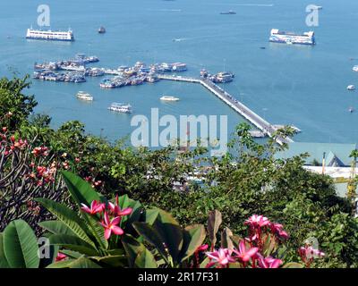 Thailand, Chonburi, Pattaya: Anlegestelle Pattaya und schwimmende Restaurants vom Buddha Hill Lookout, mit Plumeria Blumen im Vordergrund. Stockfoto