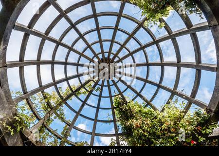 Ein abstrakter Blick auf Hampstead Pergola & Hill Gardens auf Hampstead Heath in London. Stockfoto