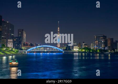 Sumida River Night Scene / Tokyoskytree und Kreuzfahrtfähren und Eitaibashi Bridge Stockfoto
