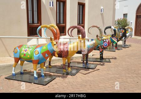 Oman, Maskat: Farbenfrohe Ziegen auf dem Gelände des Bait Al Zubair Museums. Stockfoto