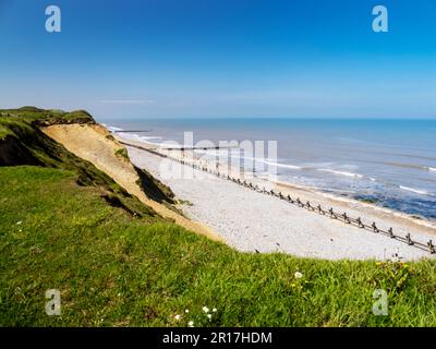 Erodierende Meeresklippen in West Runton, Norfolk, Großbritannien. Stockfoto