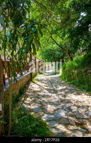 Eine uralte gewundene Straße, gepflastert mit Kopfsteinpflaster und mit Gras überwuchert. Der Begriff Tourismus und Reisen. Stockfoto