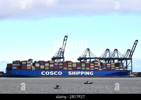 COSCO Galaxy Containerschiff, entladen und beladen im Hafen von Felixstowe, Suffolk, England, Vereinigtes Königreich Stockfoto