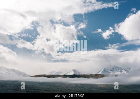 Drohnenansicht des verschneiten Waldes und der Berge Stockfoto