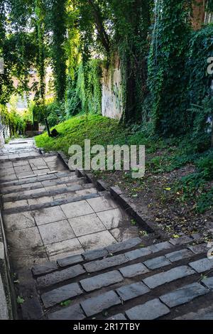 Treppen auf der Straße der Altstadt. Erkunden Sie antike Architektur Stockfoto