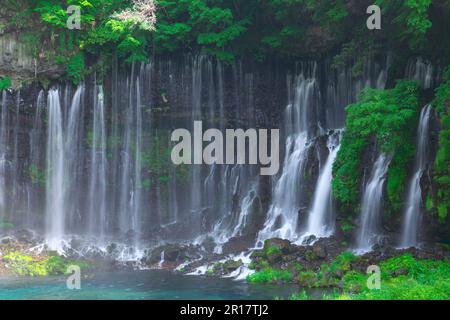 Shiraito Falls in frischem Grün Stockfoto