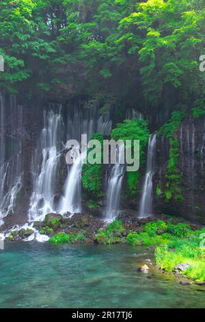 Shiraito Falls in frischem Grün Stockfoto