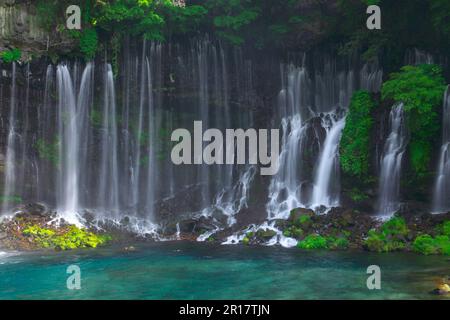 Shiraito Falls in frischem Grün Stockfoto