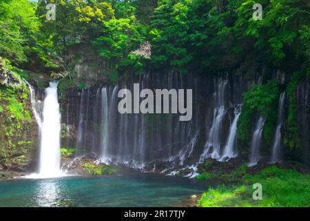 Shiraito Falls in frischem Grün Stockfoto