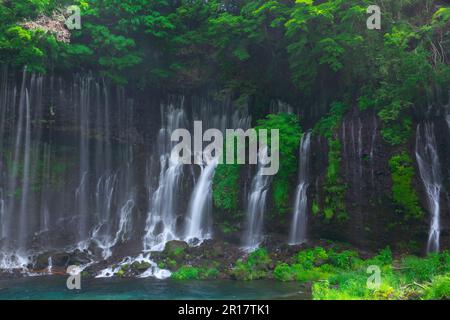 Shiraito Falls in frischem Grün Stockfoto