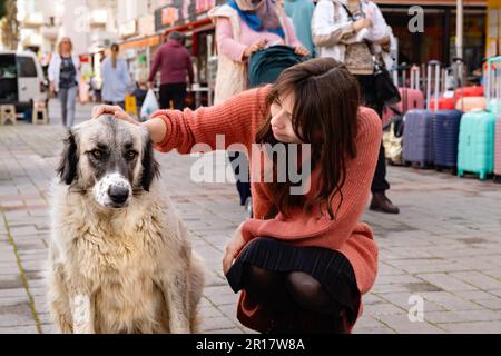 Junge Frau streichelt großen streunenden Hund draußen. Stockfoto