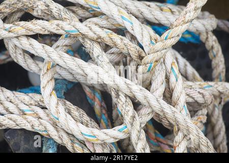 Ein Wirrwarr von Angelseilen am Hafen von Teignmouth, Devon, Großbritannien. Stockfoto