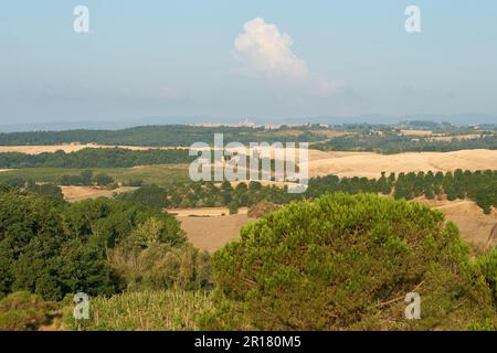 Blick von der Villa Curina in Castelnuovo Berardenga über die toskanische Landschaft in Richtung Siena Stockfoto