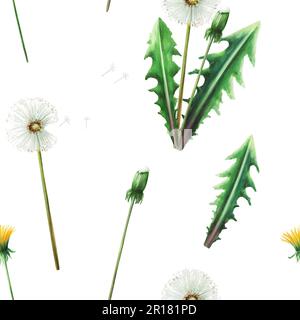 Wasserfarbenes, nahtloses Muster mit Löwenzahn und grünen Blättern. Handmalerei auf einer botanischen Wiese in einem weißen, isolierten Hintergrund Stockfoto