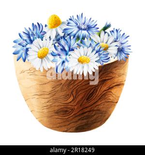 Wasserfarbener Holzmörtel mit Maisblumen und Kamille isoliert auf weißem Hintergrund. Kosmetikprodukte und Botanik, Kosmetik und Medizin. F Stockfoto