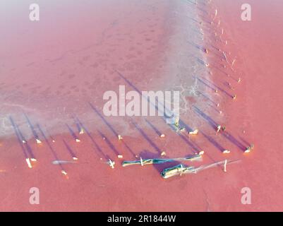 Luftaufnahme von Mustern und Details eines pinkfarbenen Salzsees bei Dimboola in Victoria, Australien Stockfoto