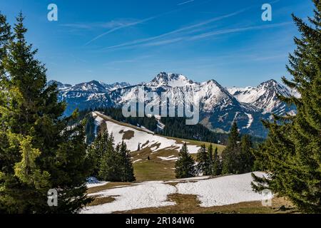 Eine gemütliche Wanderung von Zoeblen Zugspitzblick zum Schoenkahler im wunderschönen Tannheimer Valley Stockfoto