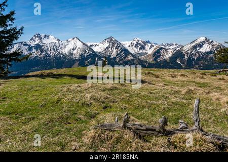 Eine gemütliche Wanderung von Zoeblen Zugspitzblick zum Schoenkahler im wunderschönen Tannheimer Valley Stockfoto