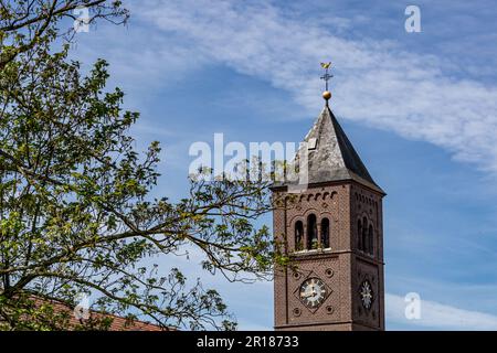 Glockenturm der Unbefleckten Empfängniskirche im neoromanischen Stil vor blauem Himmel, Ziegelmauern, Uhr und grünem Laub eines Baumes, Frühling Stockfoto