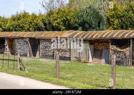 Ländliche Szene mit einem Haufen gehackter Feuerholzstücke, gestapelt in einem rustikalen Schuppen auf einem Bauernhof, grüne Kiefern im Hintergrund, sonniger Tag in Susteren, Süd-L Stockfoto