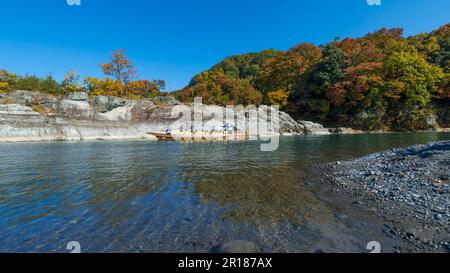 Rheinrundfahrt in Nagatoro im Herbst Stockfoto