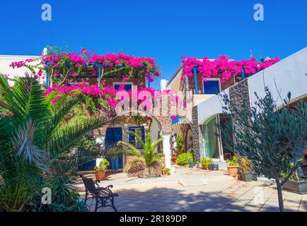 Malerische Terrasse mit blühender rosafarbener Bougainvillea Pflanze, tiefblauem Himmel und gewölbten Dächern - Kamari Dorf Santorini Insel, Griechenland Stockfoto