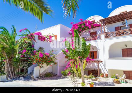 Malerische Terrasse mit blühender rosafarbener Bougainvillea-Pflanze, tiefblauem Himmel und gewölbten Dächern - typischer Blick von der Ostküste von Santorin, Griechenland Stockfoto