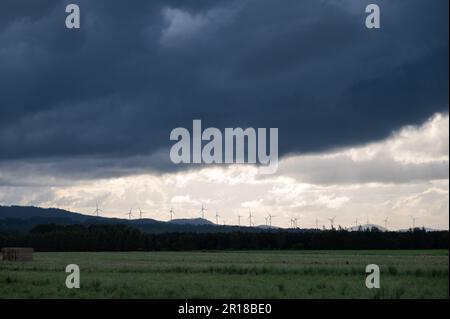 Blicken Sie über ein geerntetes Heufeld auf einen entfernten, von Bäumen gesäumten Hügel auf einem Hügel mit einer riesigen Windfarm in den Toiga Atherton Tablelands, Australien. Stockfoto