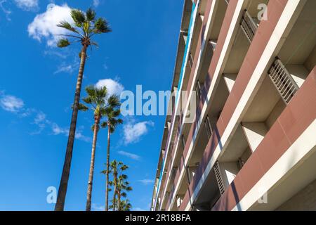 Blick von unten auf Palmen und Betonbalkone vor einem blauen Himmel mit Wolken an einem sonnigen Tag Stockfoto
