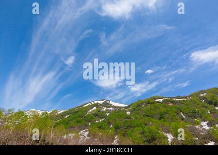 Die Berge von Hakuba erstrecken sich vom Tsugaike Natural Park mit anhaltendem Schnee Stockfoto