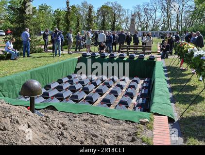 Lebus, Deutschland. 12. Mai 2023. Viele kleine Särge mit den Überresten von Soldaten der Roten Armee sind in einem Grab am Grab des sowjetischen Krieges zu sehen. 78 Jahre nach dem Ende des Zweiten Weltkriegs hatte die Kommission der Kriegsgräber 61 Soldaten der Roten Armee in Lebus (Bezirk Märkisch-Oderland) zur Ruhe gesetzt. Sie starben in den Schlachten in Oderbruch und in der Schlacht um Berlin und wurden in den letzten Monaten von der Kommission der Kriegsgräber wieder gefunden. Kredit: Patrick Pleul/dpa/Alamy Live News Stockfoto