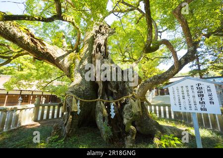 Oyamazumi-Schrein des Shimanami Kaido Stockfoto