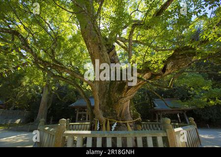 Oyamazumi-Schrein des Shimanami Kaido Stockfoto