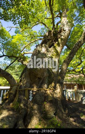 Oyamazumi-Schrein des Shimanami Kaido Stockfoto