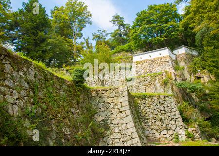 Steinmauern von Bitchu Matsuyama Castle Stockfoto