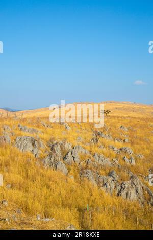 Quasi-Nationalpark Akiyoshidai im Winter Stockfoto