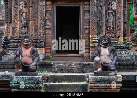 Banteay Srei ist größtenteils aus rotem Sandstein erbaut und ist ein kambodschanischer Tempel aus dem 10. Jahrhundert, der dem hindugott Shiva, Siem Reap, Kambodscha gewidmet ist Stockfoto
