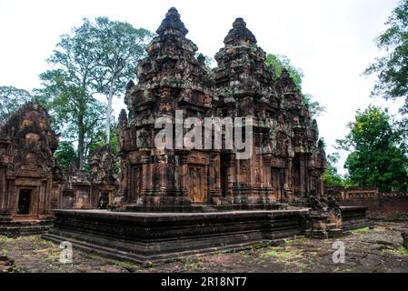 Banteay Srei ist größtenteils aus rotem Sandstein erbaut und ist ein kambodschanischer Tempel aus dem 10. Jahrhundert, der dem hindugott Shiva, Siem Reap, Kambodscha gewidmet ist Stockfoto