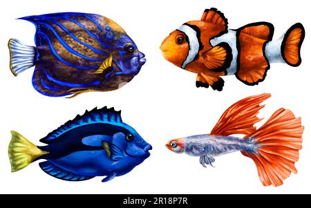 Ein Set aus farbenfrohen tropischen Meeresfischen in Blau- und Orangentönen. Unterwasserwelt, digitale Illustration auf weißem Hintergrund. Zum Verpacken, Pinnwand Stockfoto