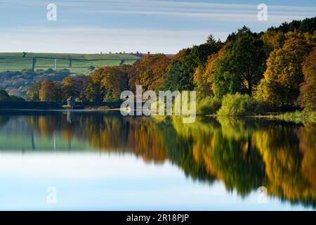 Landschaftlich reizvolle ländliche Landschaft (Waldbäume, Reflexion von bunten Blättern und Blättern auf einem ruhigen, sonnenbeleuchteten See, blauer Himmel) - Swinsty Reservoir, England. Stockfoto