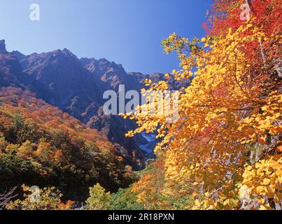 Herbstblätter von Ichinokurasawa und Mt. Tanigawa Stockfoto