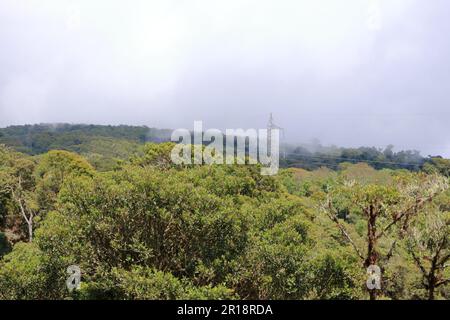 Blick auf den hoch gelegenen Wolkenwald in der Nähe des Cerro de La Muerte. Talamanca-Berge, Costa Rica Stockfoto